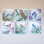 Комплект от шест подложки за чаши с красиви птици в различни цветове